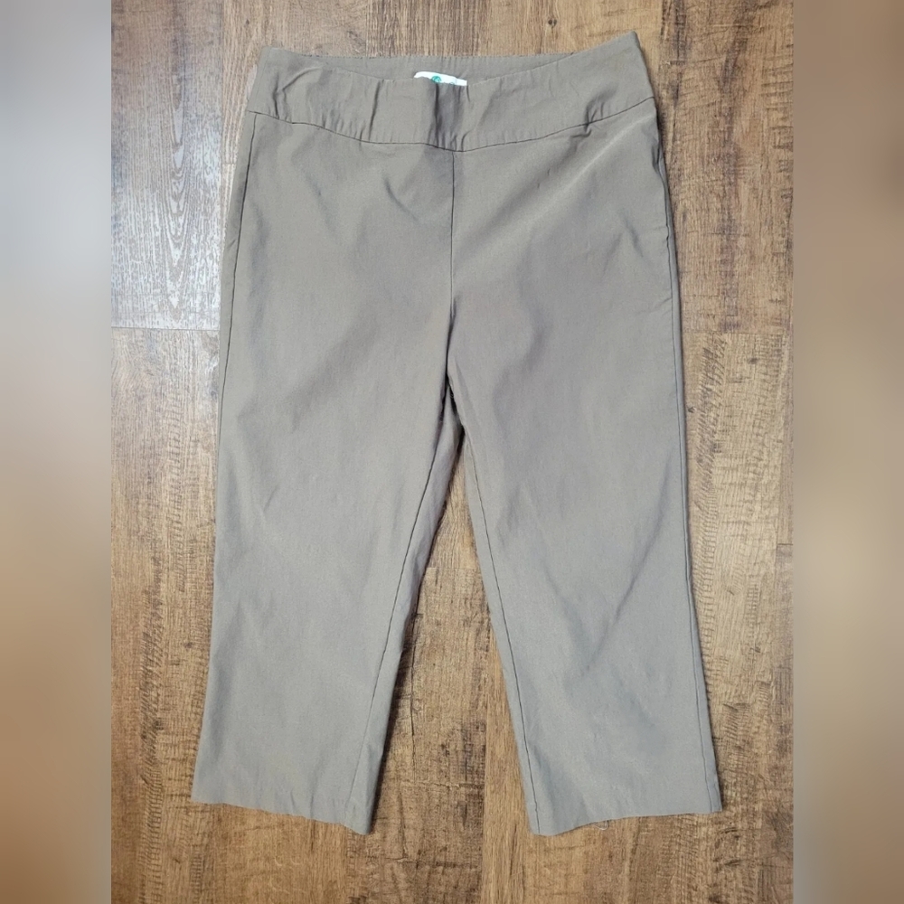 FREE W BUNDLE Coconut Row Palm Beach capri pants